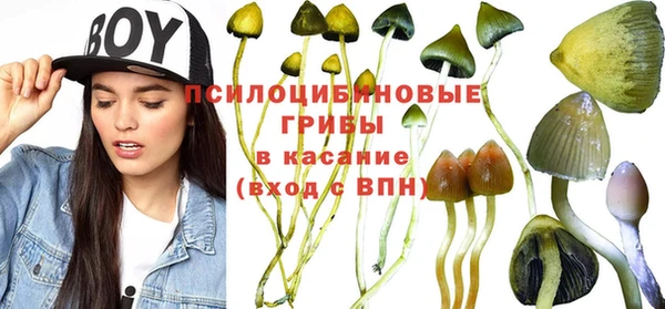 дмт Балабаново