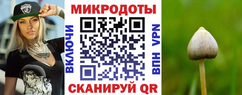Купить  Елец  Галлюциногенные грибы мухоморы 